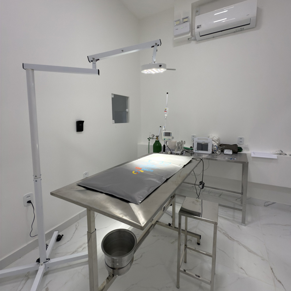 Cirurgia veterinária na Amo Pet em Parnaíba/PI
