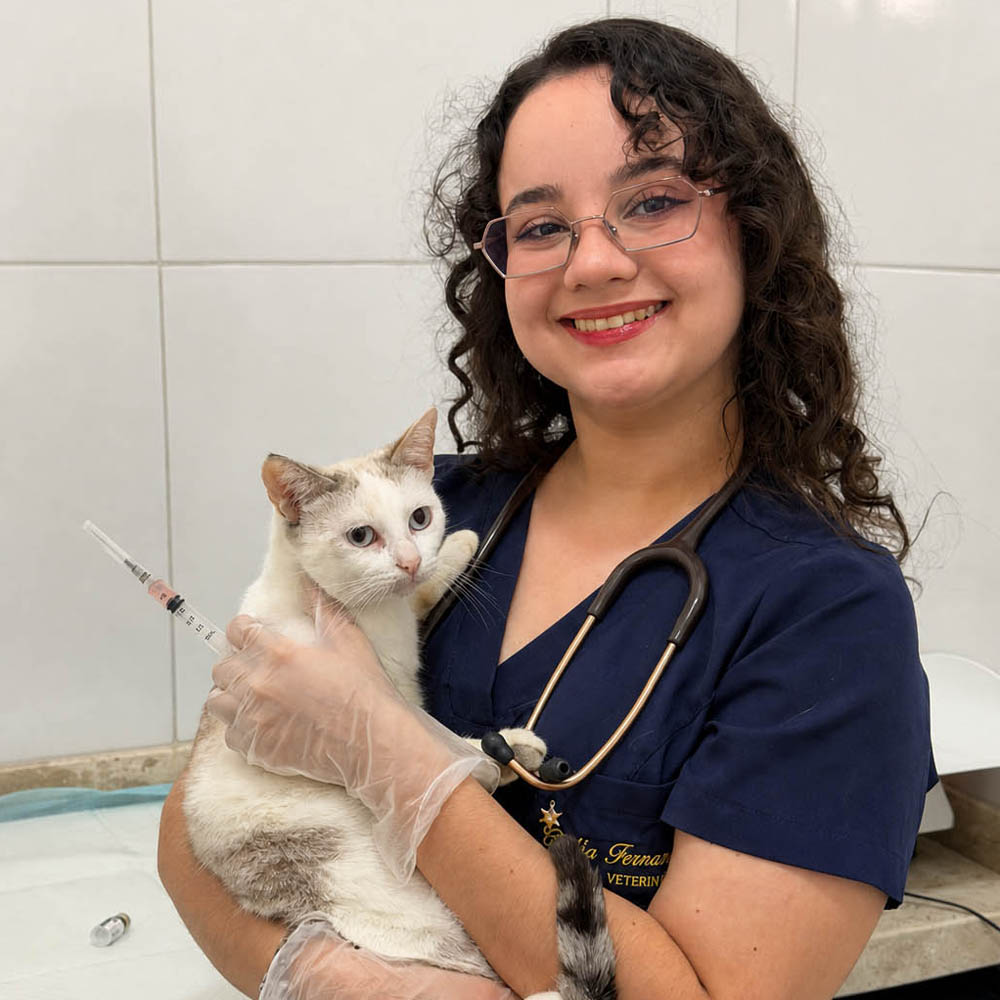 Vacinação e vermifugação de pets na Amo Pet em Parnaíba/PI